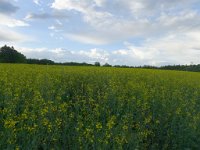 PavlaCzechVisit 107 : PavlaCzechVisit